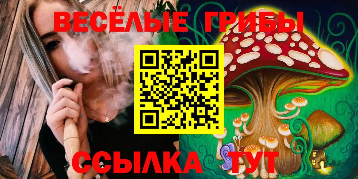 Галлюциногенные грибы Psilocybe Ярцево